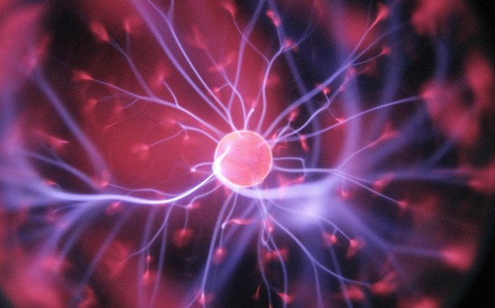 2023 Ig Nobel Prizes: Honoring the Winners of Unconventional Research That Elicits Laughter and Reflection