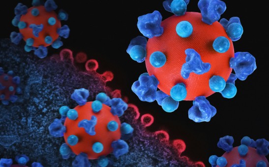 3D Presentation of Virus