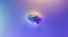 3D Render of a Brain