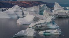 Arctic