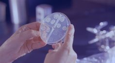 Bacteria Responsible for Tuberculosis Can Turn Air Into Electricity to Power Small Portable Devices