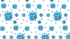 Bacteria