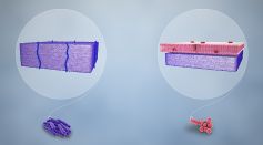 Bactericidal Nanomaterial Developed With Photochemical “Light Switch”, Targets Both Gram-Positive and Gram-Negative Bacteria