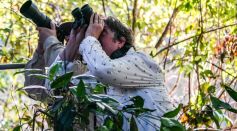 Birdwatching in the Amazon