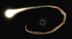 Black Hole Devouring a Star