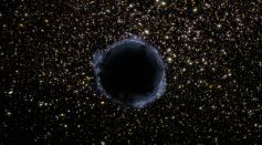 Black Hole Surrounded by Stars