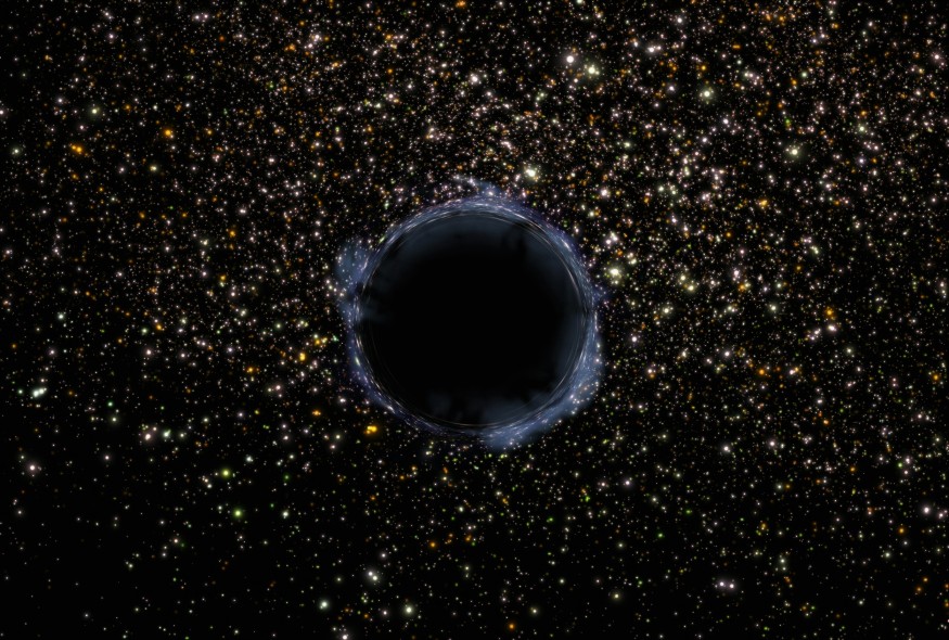 Black Hole of Void