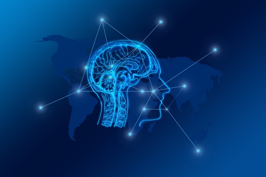 Brain Computer