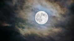Bright Full Moon