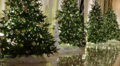 Christmas Tree Facts: Origin, Traditions and More