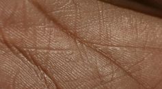 Close Up Photo of Human Palm Skin