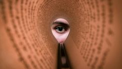 Close Up Shot of a Human Eye