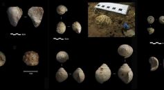 Did Neanderthals Exhibit Abstract Thinking? New Fossil Study Thinks So