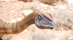 Dinosaur