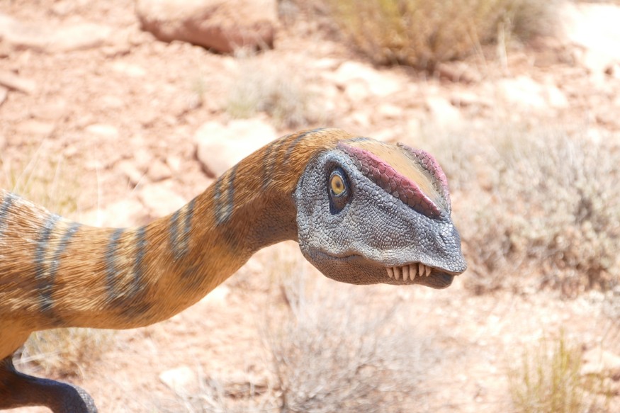 Dinosaur