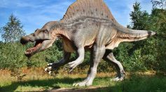 Dinosaur 