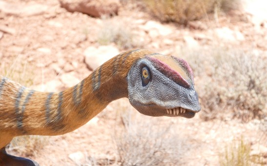 Dinosaur