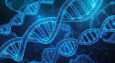 DNA double helix