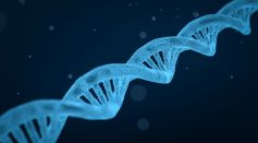 Dna String Biology