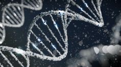 DNA Testing: What is the Most Accurate Test?