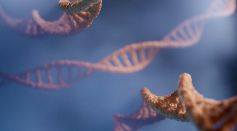 Double Helix Structure of DNA 
