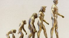 Evolution