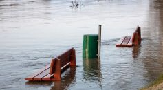 Flood
