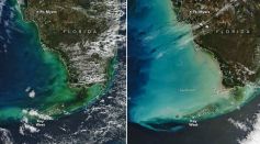 Florida Ocean Water Changes