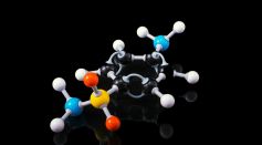 Fragmentation of Heavy Elements Unveils Unprecedented Particle Ratios in Landmark Experiment