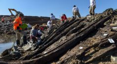 FRANCE-HISTORY-ARCHAEOLOGY