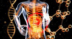 Gut Health 2026: How Science-Backed Brands Are Redefining Everyday Wellness