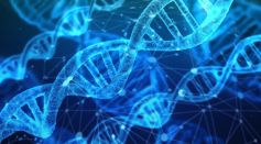 How Gene Synthesis Companies Are Accelerating the Synthetic Biology Revolution