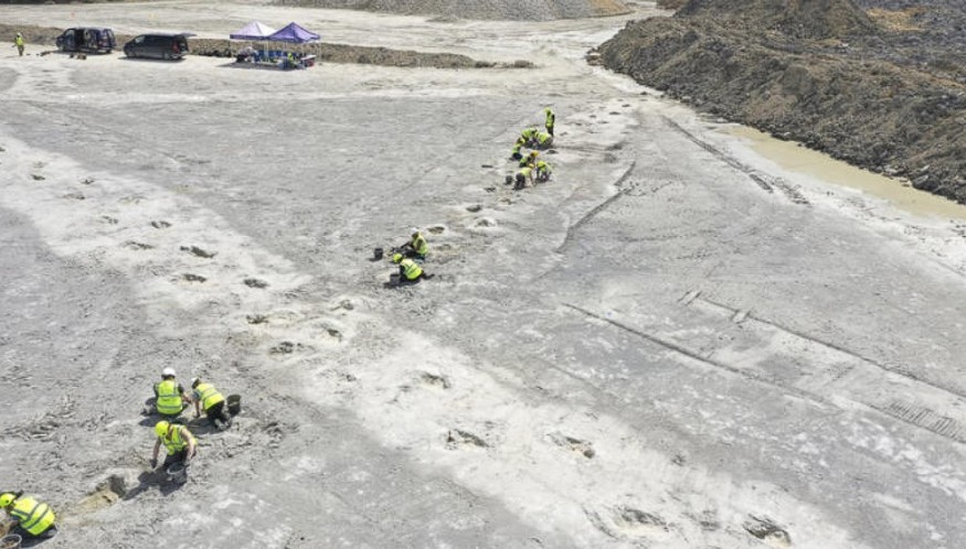 Hundreds of Dinosaur Footprints Found in England Quarry, Spark Fascinating 