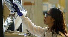 Ion Irradiation Allows Precise Control of Nanoparticle Growth, Offers Potential in Clean Energy Production