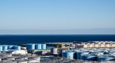 JAPAN-NUCLEAR-DISASTER-FUKUSHIMA-ENVIRONMENT