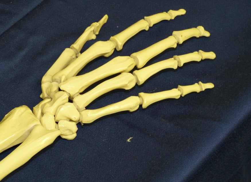 Joint
