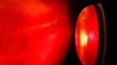 Metal Perovskite Oxide Membranes Used To Confine Infrared Light Shows Promise in Next Generation Imaging Technologies