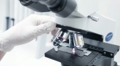 Microscope