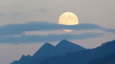 Moon