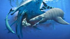 Mosasaur Fossil Faces Scrutiny as Researchers Spot Inconsistencies