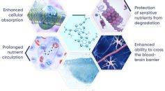 Nano Supplements vs. Traditional Supplements: Which Is Better?