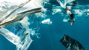 Ocean Plastic Pollution