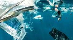 Ocean Plastic Pollution