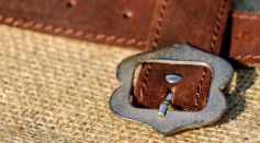 Pagan Cult Symbol Unearthed: Bronze Belt Buckle Depicting Predator Devouring Frog Discovered Near Prague