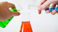 Person Holding Laboratory Flasks 