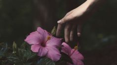 Person Touching Flowers