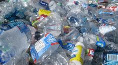 Pile of Plastic Bottles