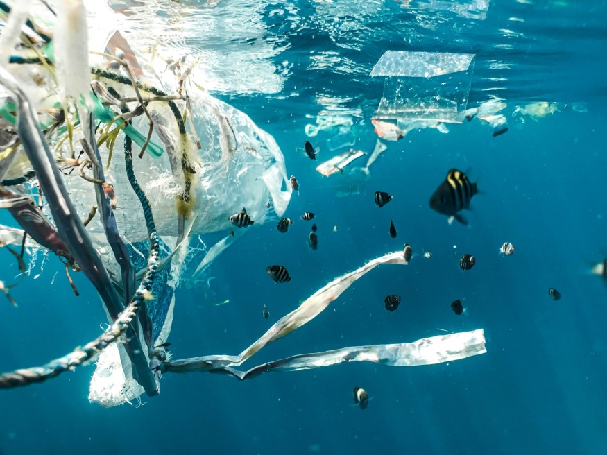 Plastic Pollution on Water