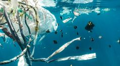 Plastic Pollution on Water