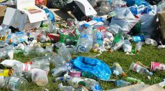 Plastic Waste